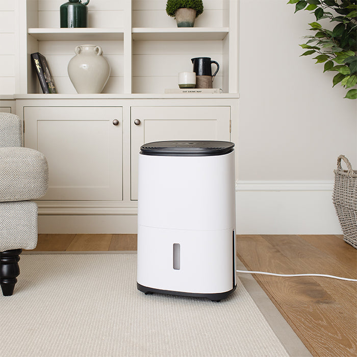 MeacoDry Arete One 12L (dehumidifier and HEPA air purifier)